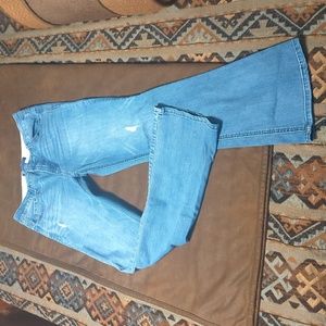 Democracy Absolution bootcut